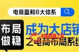 八大体系布局篇·布局做稳，成为大店的电商布局线上课