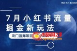 7月小红书流量掘金最新玩法，冷门蓝海小项目，日入200+【揭秘】