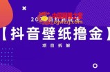 抖音壁纸小程序创作者撸金项目，2023新红利玩法【项目拆解】