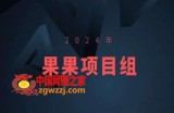 2024年果果项目组项目合集-果果最新项目
