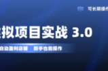 虚拟项目实操落地 3.0,新手轻松上手，单品月入1W+