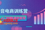 抖音电商训练营：从入门到精通，从账号定位到流量变现，抖店运营实操