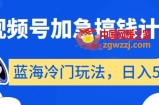 视频号加急搞钱计划，蓝海冷门玩法，日入500+【揭秘】