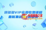 某社群·拼多多VIP会员收费课程，最新集训营+答疑课-价值3299元