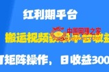 搬运视频获取平台收益，平台红利期，附保姆级教程【揭秘】