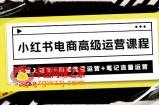 小红书电商高级运营课程：基础入驻篇+商城流量运营+笔记流量运营
