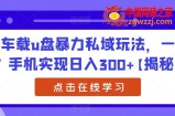车载u盘暴力私域玩法，一部手机实现日入300+【揭秘】