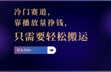 （11965期）冷门赛道，靠播放量挣钱，只需要轻松搬运，日赚300+