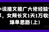 小说推文推广大佬经验分享，女频长文1天1万收益爆单思路(上)