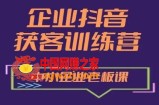 企业抖音营销获客增长训练营，中小企业老板必修课