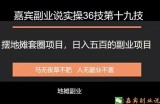 嘉宾副业说实操36技第十九技：套圈摆地摊套圈项目，日入五百的副业项目