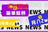 简单粗暴零成本，高回报，全网视频VIP掘金项目，月入2万＋【揭秘】