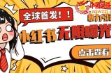 全网首发-小红书无限曝光术pro版全领域粉丝精准拿下