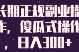 长期正规副业操作，傻瓜式操作，日入300+【视频教程】