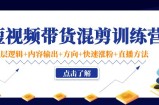短视频带货混剪训练营：底层逻辑+内容输出+方向+快速涨粉+直播方法
