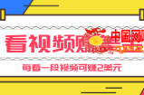 手机看视频赚美金项目：每看1段视频可赚2美元，超简单赚钱项目