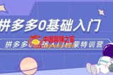 拼多多运营0-1实操特训营，拼多多0基础入门，从基础到进阶的可实操玩法