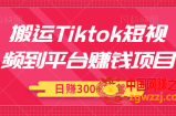 搬运Tiktok短视频到平台赚钱项目：新手可操作，日赚300美金【视频教程】