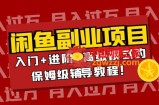 闲鱼无货源项目月入过万：入门+进阶+高级模式的保姆级辅导教程！