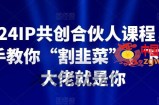 2024IP共创合伙人课程，手把手教你“割韭菜”，下一个大佬就是你