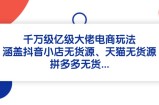 千万级亿级大佬电商玩法：涵盖抖音小店无货源、天猫无货源、拼多多无货