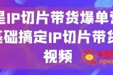 明星IP切片带货爆单营，0基础搞定IP切片带货短视频