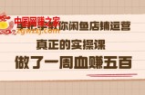 2022最新【手把手教你闲鱼店铺运营】实操课，做了1周赚五百 (16节课)