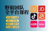 野狼团队2026新版全平台短视频带货教学，打开流量突破口，开始Ai带货(更新26年4月25日)