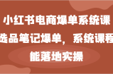 小红书电商爆单系统课-选品笔记爆单，系统课程，能落地实操