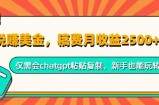 小说赚美金，稿费月收益2.5k美金，仅需会chatgpt粘贴复制，新手也能玩转