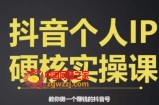 个人IP创富系统实战课，商业定位，流量打造，短视频变现，教你做个赚钱的抖音号