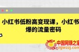 小红书低粉高变现课，小红书必爆的流量密码