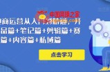 小红书电商运营从入门到精通，开店篇+选品篇+笔记篇+剪辑篇+赛道篇+内容篇+私域篇