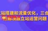 独立站搭建和流量优化，三合一课程解决独立站运营问题