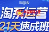 淘系运营21天速成班(更新24年5月)，0基础轻松搞定淘系运营，不做假把式