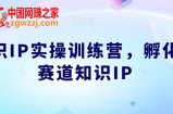 知识IP实操训练营，​孵化多赛道知识IP