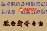 全网首发，小红书绘本引流宝妈粉，月入过万，玩法操作简单，适合新手小白【揭秘】