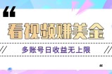 看视频赚美金项目，手机可挂机操作，多账号日收益无上限