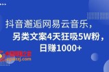 抖音邂逅网易云音乐，另类文案4天狂吸5W粉，日赚1000+【揭秘】