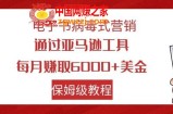 （7570期）电子书籍病毒营销 根据亚马逊平台专用工具每月赚6000 美元 新手快速上手 家庭保姆级实例教程