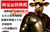 猫老师·淘系算法逆向解密，​纯黑纯白玩法，七天上首页纯搜索，手淘首页14天流量过万