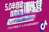 蚂蚁·5.0半自动直播2345心法，小白3小时快速上手，5.0半自动爆流直播技术