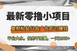 最新零撸小项目，复制粘贴抖音广告即可赚钱，平台大水，任务不限量，一