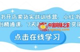小红书开店卖货实战训练营，小红书入门到精通课，7天时间实现快速变现