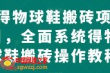 得物球鞋搬砖项目，全面系统得物球鞋搬砖操作教程【揭秘】