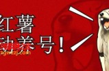 小红书养号秘籍，如何自动涨粉清晰系统标签打造高权重账号【揭秘】