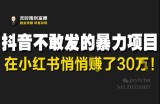 抖音不敢发的暴利项目，在小红书悄悄挣了30W