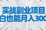 实战副业项目，小白也能月入3000+，易上手，人人可做【视频教程】