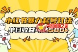 小红书暴力起号秘籍，11月最新玩法，单天变现500+，素人冷启动自媒体创业【揭秘】