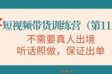 视频带货训练营，不需要真人出境，听话照做，保证出单（第11期）